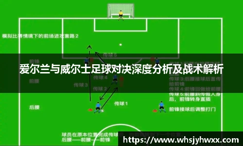 zoty中欧官网首页