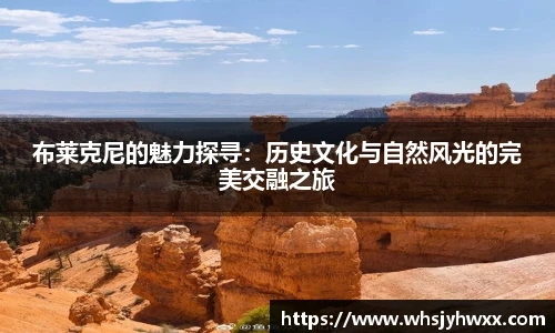 zoty中欧体育赛事