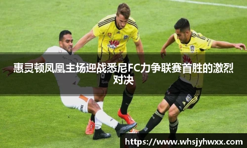 zoty中欧体育赛事